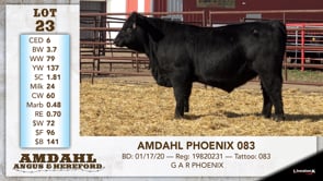 Lot #23 - AMDAHL PHOENIX 083