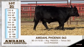 Lot #21 - AMDAHL PHOENIX 063