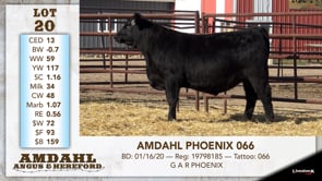 Lot #20 - AMDAHL PHOENIX 066