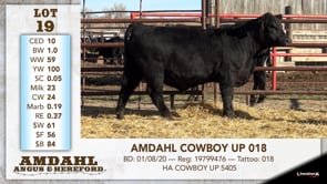 Lot #19 - AMDAHL COWBOY UP 018