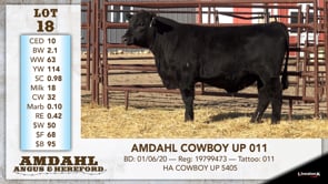 Lot #18 - AMDAHL COWBOY UP 011
