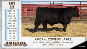 Lot #17 - AMDAHL COWBOY UP 012