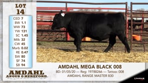 Lot #14 - AMDAHL MEGA BLACK 008