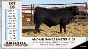 Lot #13 - AMDAHL RANGE MASTER 0104