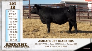 Lot #12 - AMDAHL JET BLACK 085