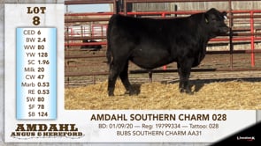 Lot #8 - AMDAHL SOUTHERN CHARM 028
