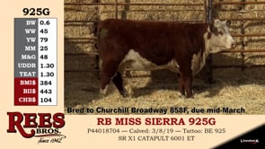 Lot #925G - RB MISS SIERRA 925G