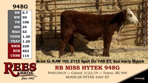 Lot #948G - RB MISS HYTEK 948G