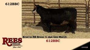 Lot #612BBC - 612BBC