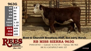 Lot #963G - RB MISS SIERRA 963G