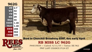 Lot #962G - RB MISS LC 962G