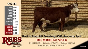 Lot #961G - RB MISS LC 961G