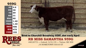 Lot #959G - RB MISS SAMANTHA 959G