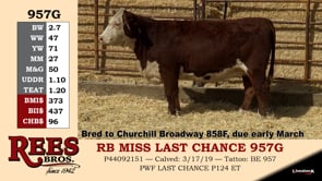 Lot #957G - RB MISS LAST CHANCE 957G