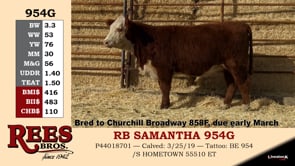 Lot #954G - RB SAMANTHA 954G