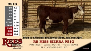 Lot #951G - RB MISS SIERRA 951G
