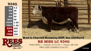 Lot #934G - RB MISS LC 934C