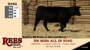 Lot #934G - RB MISS ALL IN 934G