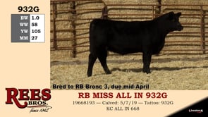Lot #932G - RB MISS ALL IN 932G