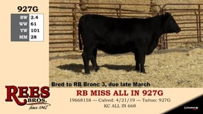 Lot #927G - RB MISS ALL IN 927G