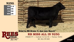 Lot #925G - RB MISS ALL IN 925G
