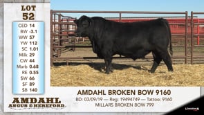 Lot #52 - AMDAHL BROKEN BOW 9160