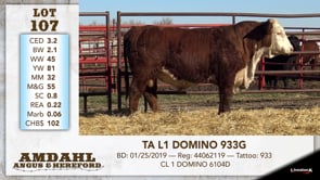 Lot #107 - TA L1 DOMINO 933G