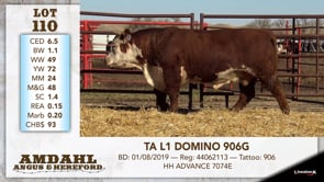 Lot #110 - TA L1 DOMINO 906G