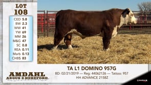 Lot #108 - TA L1 DOMINO 957G