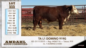 Lot #111 - TA L1 DOMINO 919G
