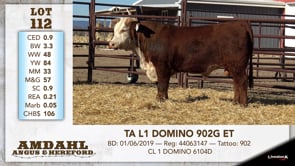 Lot #112 - TA L1 DOMINO 902G ET