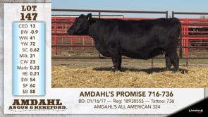 Lot #147 - AMDAHL'S PROMISE 716-736