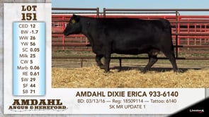 Lot #151 - AMDAHL DIXIE ERICA 933-6140