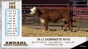 Lot #161 - TA L1 DOMINETTE 951G