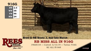 Lot #916G - RB MISS ALL IN 916G