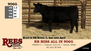 Lot #906G - RB MISS ALL IN 906G