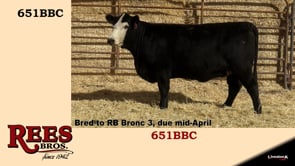 Lot #651BBC - 651BBC