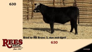 Lot #630BBC - 630BBC