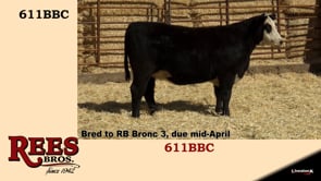 Lot #611BBC - 611BBC