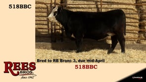 Lot #518BBC - 518BBC