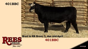 Lot #401BBC - 401BBC