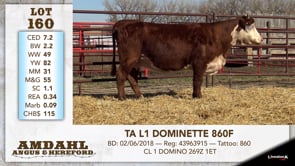 Lot #160 - TA L1 DOMINETTE 860F