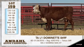 Lot #159 - TA L1 DOMINETTE 849F