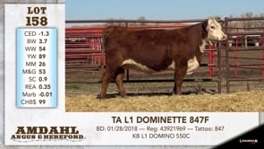 Lot #158 - TA L1 DOMINETTE 847F