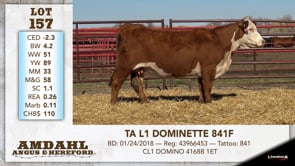 Lot #157 - TA L1 DOMINETTE 841F