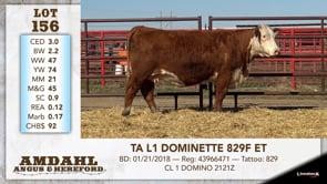 Lot #156 - TA L1 DOMINETTE 829F ET