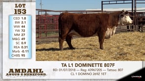 Lot #153 - TA L1 DOMINETTE 807F