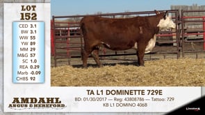 Lot #152 - TA L1 DOMINETTE 729E