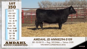 Lot #150 - AMDAHL JD ANNIE 294-5109