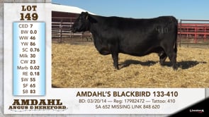 Lot #149 - AMDAHL'S BLACKBIRD 133-410